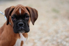 20190710193558_IMG_5064