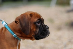 20190710193657_IMG_5069