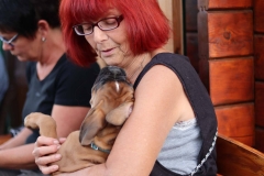 20190710194438_IMG_5130